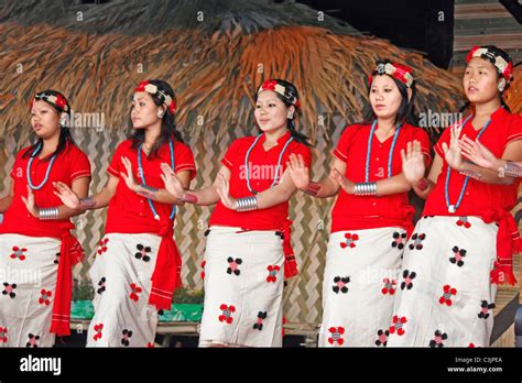 Nyishi Tribes Women Performing Dance At Namdapha Eco Cultural Festival