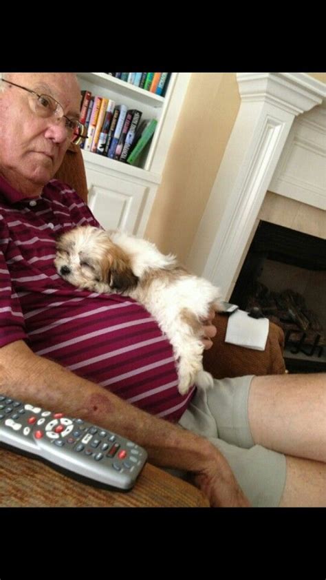 An Old Man Sitting In A Chair Holding A Small White And Brown Dog On