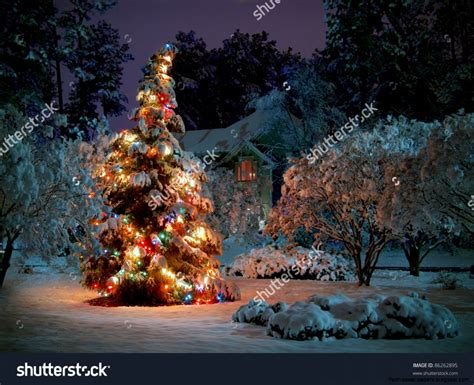 Christmas Tree Natural Lights Snow Free Hd Wallpapers