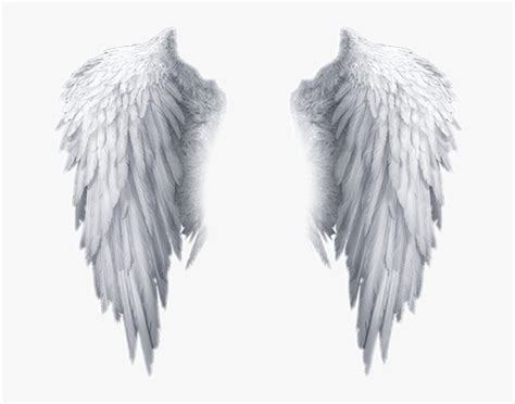 White Angel Wings Transparent Background Hd Png Download Kindpng