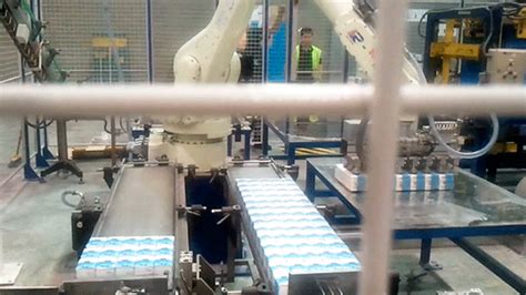 robotic packaging solutions inser robotica sa