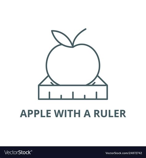 Apple With A Ruler Line Icon Royalty Free Vector Image