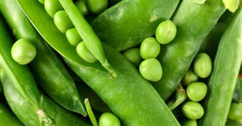 Les pois Histoire variétés et cuisine Recette