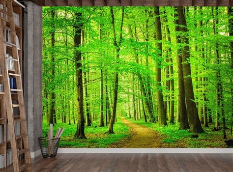 Beautiful Wallpaper Mural Of A Green Forest With A Path This Trompe L
