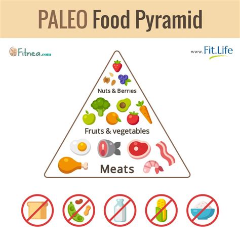 All About The Paleo Diet Livs Apothecary And Health Clinic