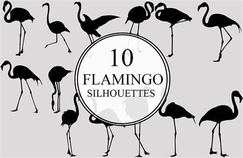 Flamingo Bird Svg Files Bundle Flying Bird Svg Sitting