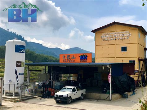 (tnbes) is managed independently as a business organization within the corporate structure of the tnb group, malaysia's now tnb energy services sdn. About Us - Benum Hill Fruits