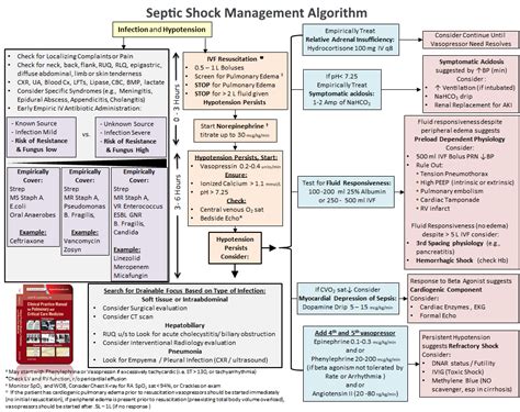 Initial Evaluation And Management Of Septic Shock Grepmed