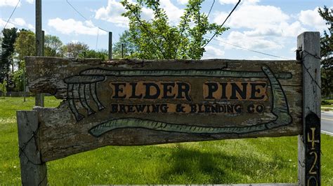 Elder Pine Drone Tour Youtube