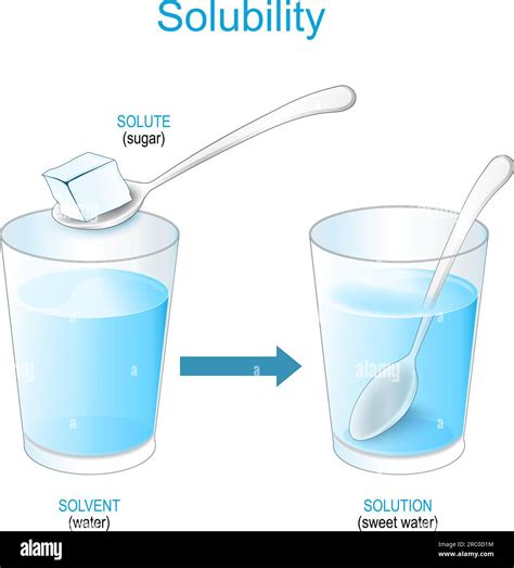 Solubility Solutions Experiment With Sugar And Glass Of Water Making A Mixture Of Sweet Water