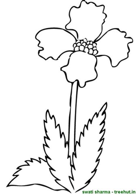Downloads are subject to this site's term of use. Printable Flower Coloring Pages