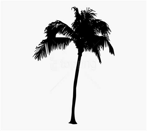 Detail Palm Tree Png Vector Koleksi Nomer