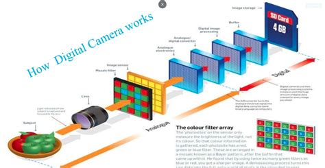 Digital Camera Working Scheme Camera Sensor Size Digital Camera Photography Cheat Sheets
