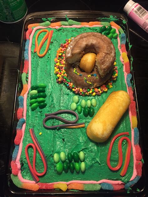 Edible Plant Cell Edible Cell Project Plant Cell Cake Edible Cell