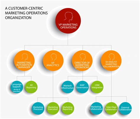 Becoming Customer Centric A Tale Of A Changing Mo Organization
