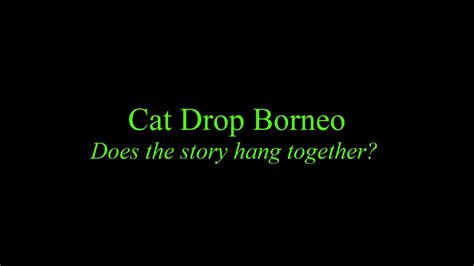 Cat Drop Borneo Youtube