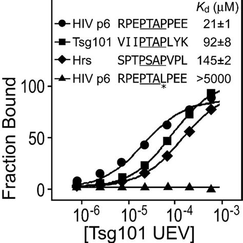 Domain Organization Of The Hiv Gag And Human Tsg And Hrs Proteins