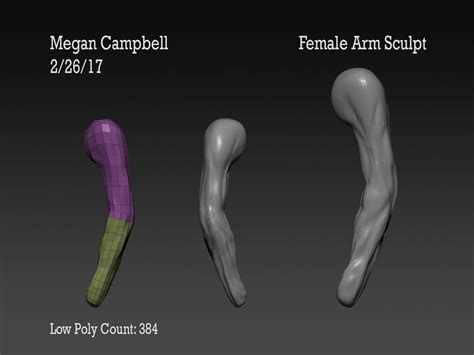Megan Campbell Female Arm Sculpt