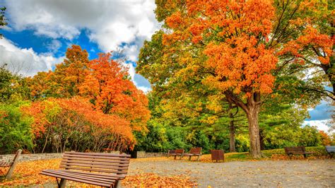 Download 3840x2160 Fall Autumn Trees Park Clouds Leaves Wallpapers