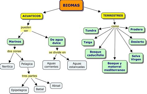 Biomas Bachillerato Biolog A Y Ciencias De La Tierra Y Del Medio
