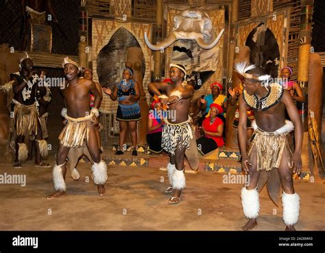 Zulu Troupe Perform In Traditional Dress At The Shakaland Zulu Cultural