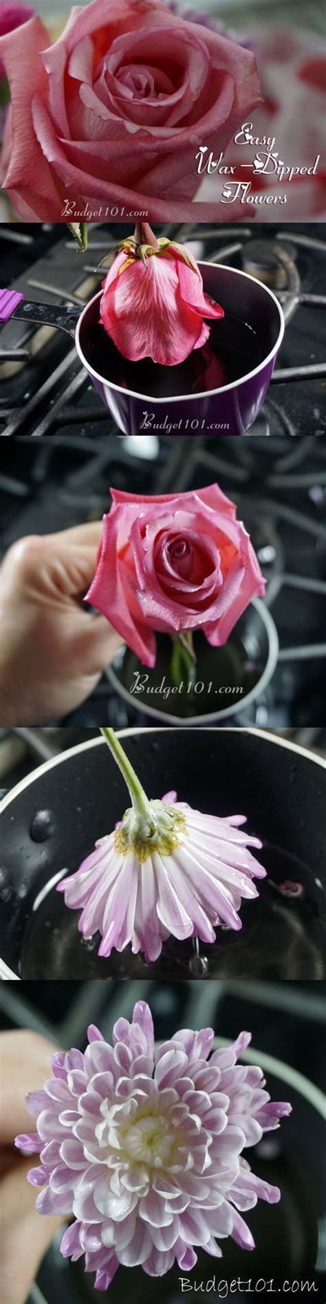 I was left with all of the flowers and. Wax Dipped Flowers | Frugal Living | Valentines flowers ...