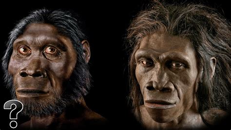 Did Humans Evolve From Apes Youtube
