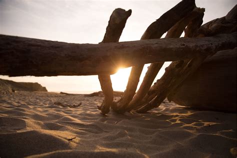 Free Images Beach Sea Sand Rock Wood Sunset Sunlight Morning