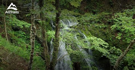 2023 Best Waterfall Trails In Glenora Falls Alltrails