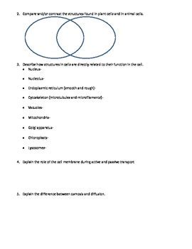 Students must also take eocs in geometry, alg. Biology EOC Review Packet by Kelly Holder | Teachers Pay ...