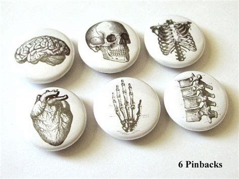 Button Pins Anatomy Brain Skull Anatomical Heart Med Medical Etsy