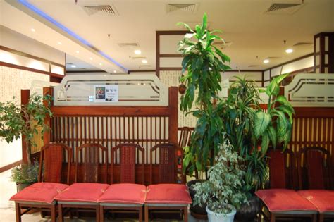 Dinodxbdino Koreana Restaurant Sheikh Zayed Road Al Barsha Dubai Uae