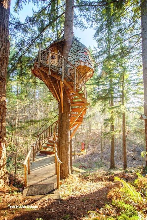 Best Tree House Designs In 2020 Tree House Diy Tree House Designs