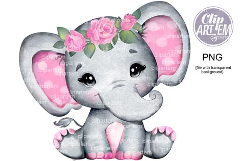 Pink Floral Elephant PNG Roses Crown Images Watercolor Baby Girl By