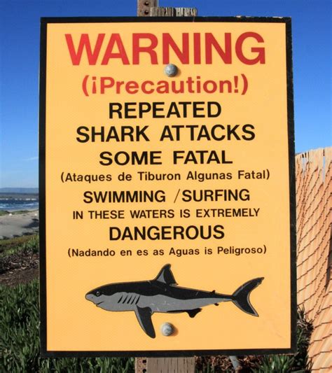 Shark Attack Map Locations In California 2000 Presen Everyone Has
