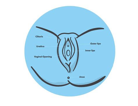 Mädchen vagina diagramm Erotische Fotos von nackten Mädchen
