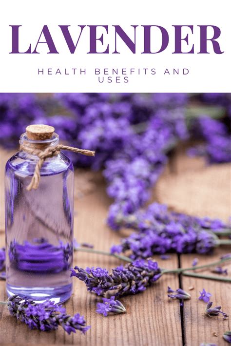 Lavender Health Benefits And Uses Love Lean Life