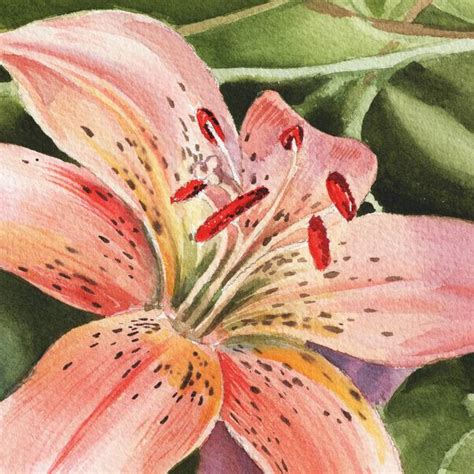 Stunning Watercolor Painting Of Tiger Lily Flowers Artwork For Sale