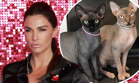 Get ready to learn a little bit more about these unique felines, from specific breeds to health and grooming needs, and find out if a hairless cat might be right for you. Katie Price blasted by fans for selling hairless cats ...
