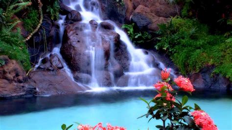 42-tropical-waterfalls-wallpaper-on-wallpapersafari