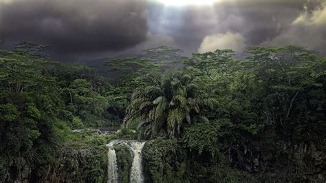 Picture Mauritius Nature Waterfalls Palms Forests 1920x1080