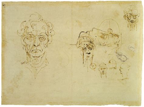 Leonardo Da Vinci Studies Of The Head