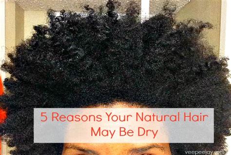 How To Moisturize Dry Natural Hair Curlynikki Natural Hair Care
