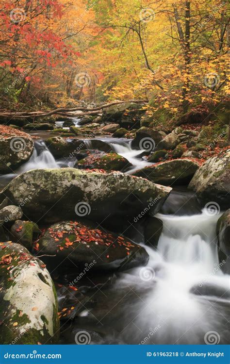 Smoky Mountain Fall Stream Stock Photo Image Of Beauty 61963218