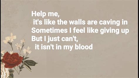 Shawn Mendes In My Blood Lyrics Audio Youtube