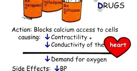 We discuss how these medications calcium channel blockers are common medications that have a low risk of complications. Calcium Channel Blockers | Nursing | Pinterest