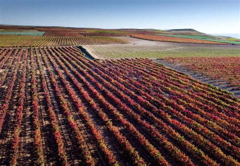 Tres Vinos De Rioja Que Reflejan El Pasado El Presente Y El Futuro De