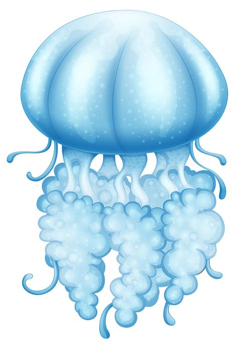 A Blue Jellyfish 525571 Vector Art At Vecteezy