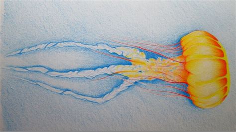 Cómo Dibujar Una Medusa Con Lápices De Color Paso A Paso Dibujando