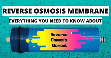 How Does Ro Membrane Work Everything You Need To Know